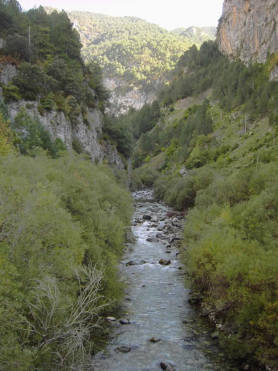 Río Cinqueta