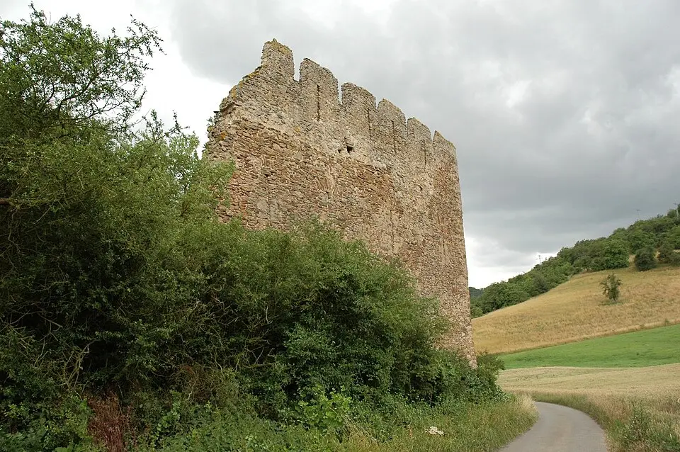 Burg Löwenstein (Pfalz)