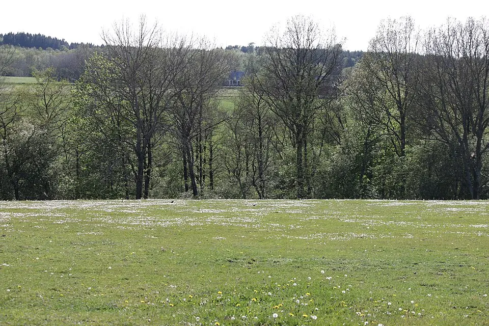 Liaängen