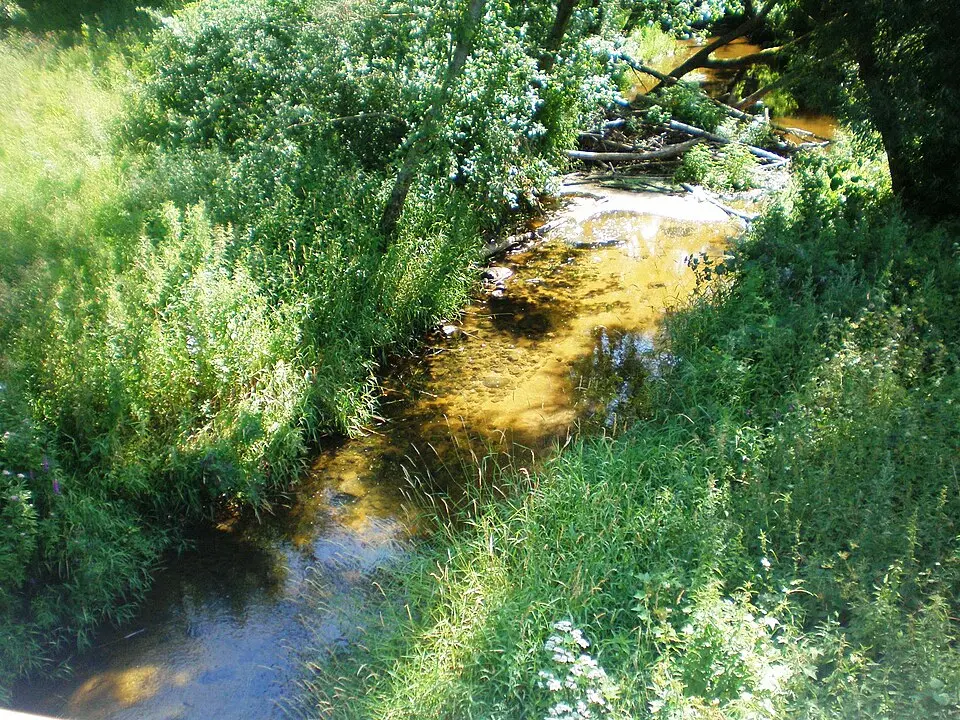 Liaudė