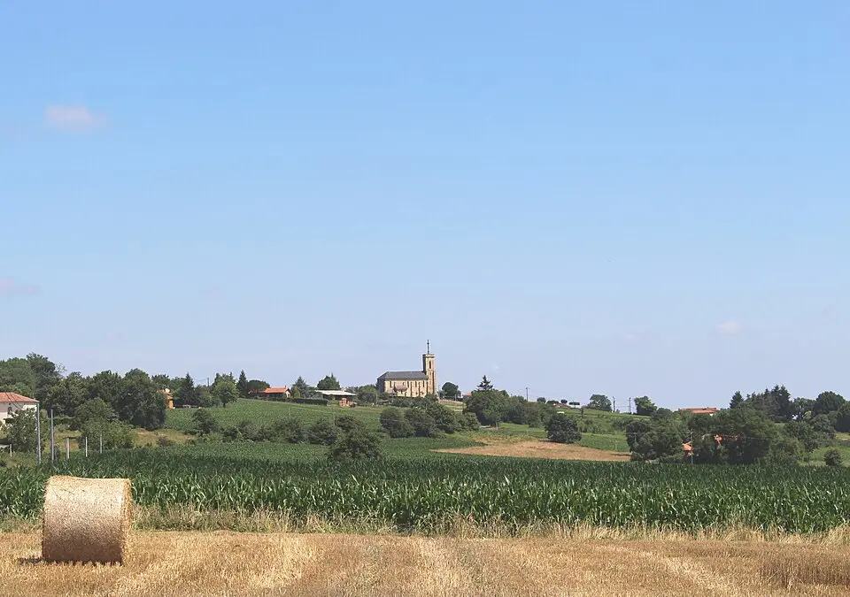 Libaros