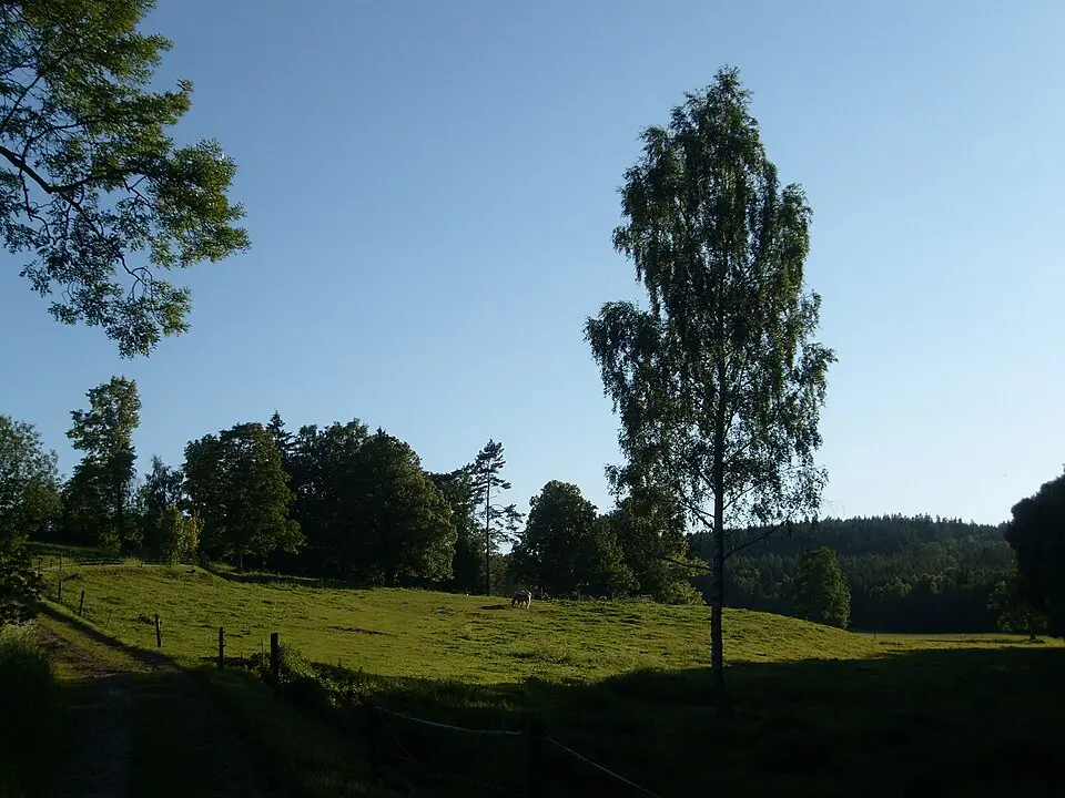 Libná
