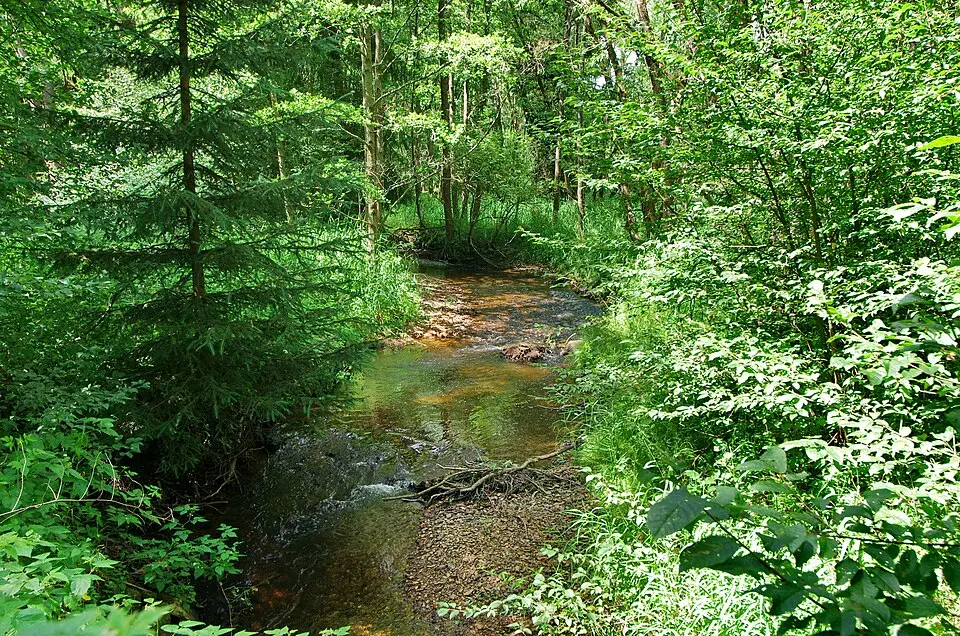 Libocký potok