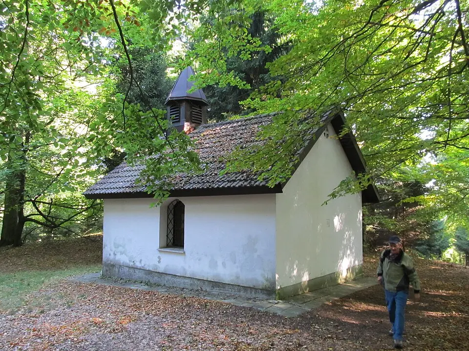 Liščí