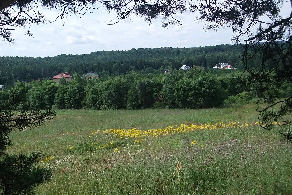 Ліхачы