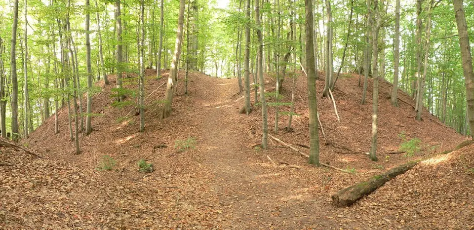Burg Lichtenstein (Osterode am Harz)