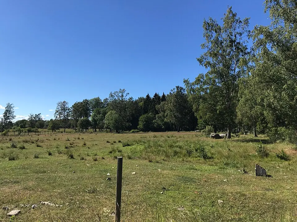 Lidö naturreservat