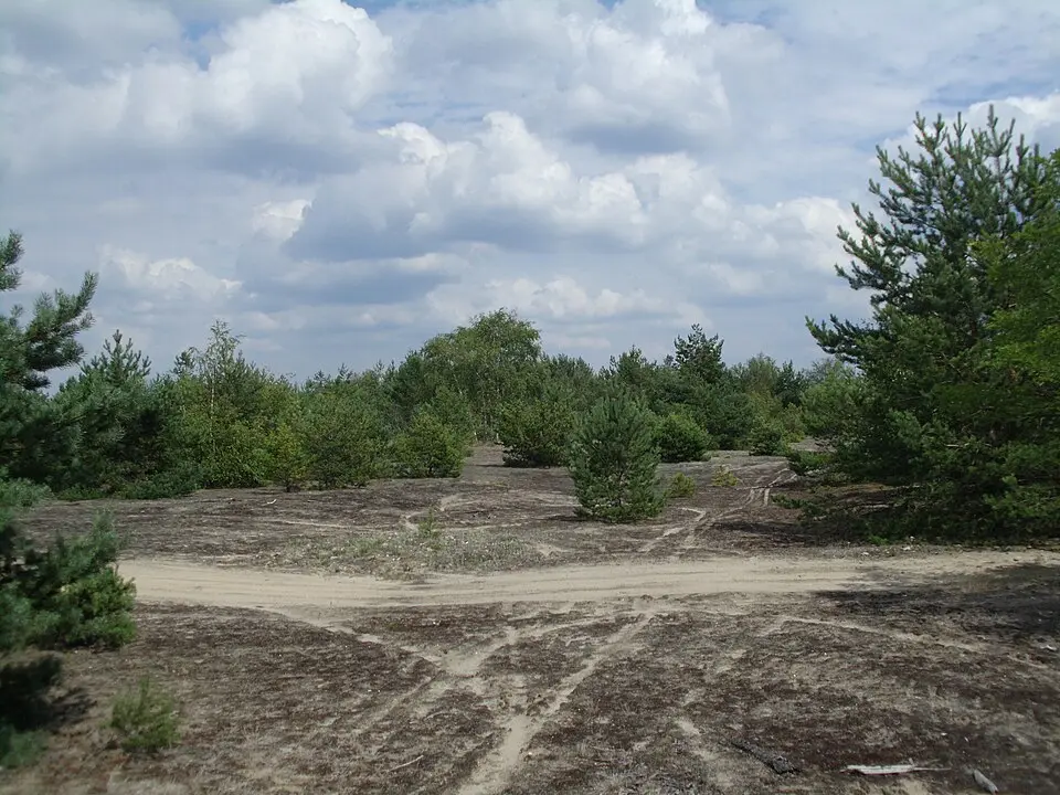 Lieberoser Heide