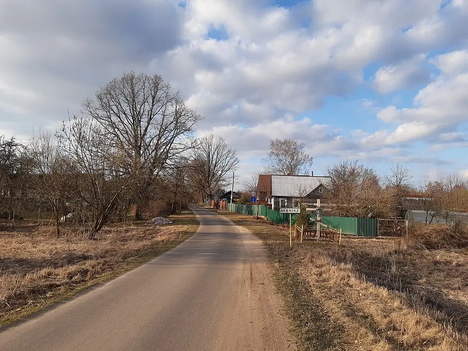 Леднікі