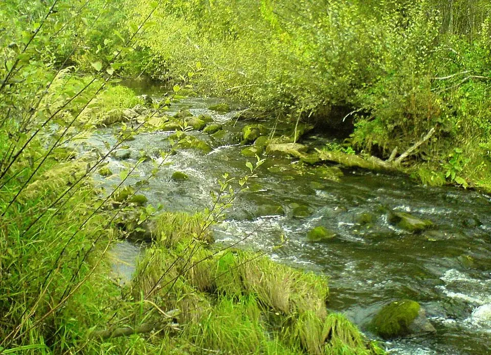 Lierfossen