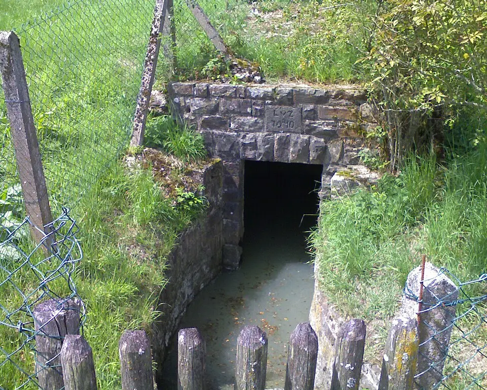 Lieser