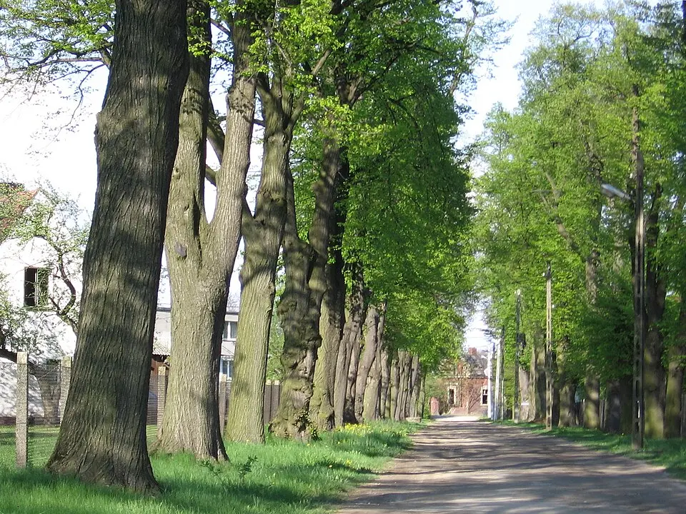 Trzebnica