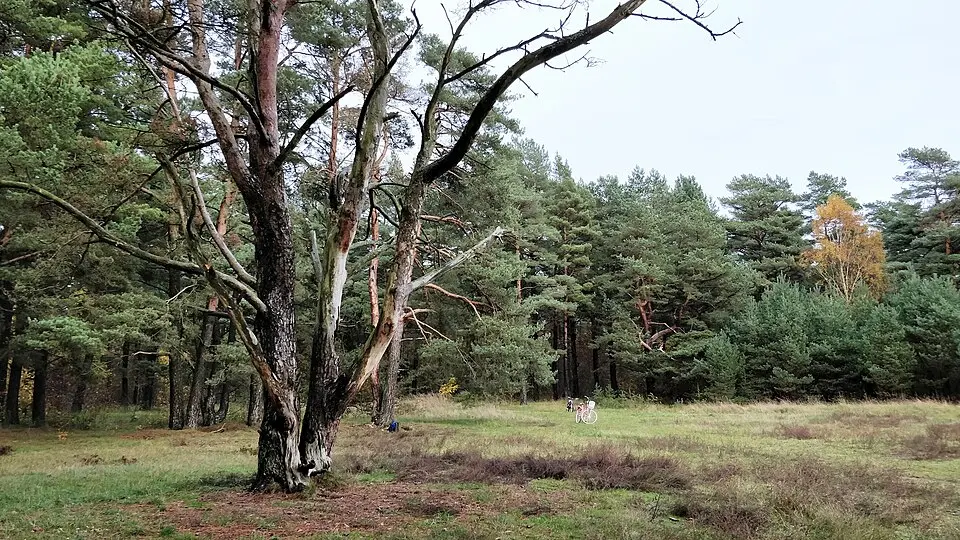Lilla Köpinge naturreservat