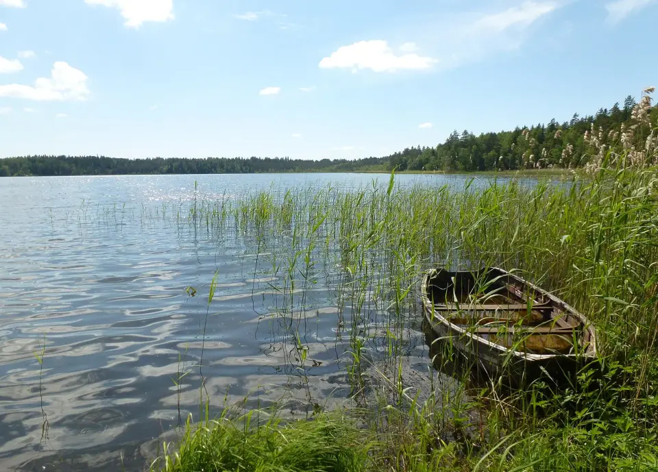 Lilla skogssjön