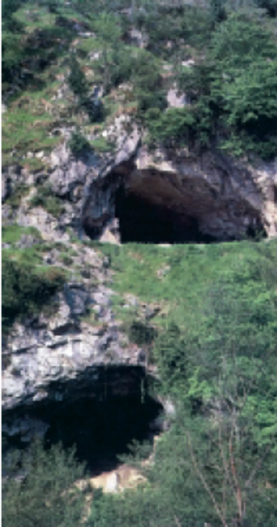 Grottes d'Aizpitarte