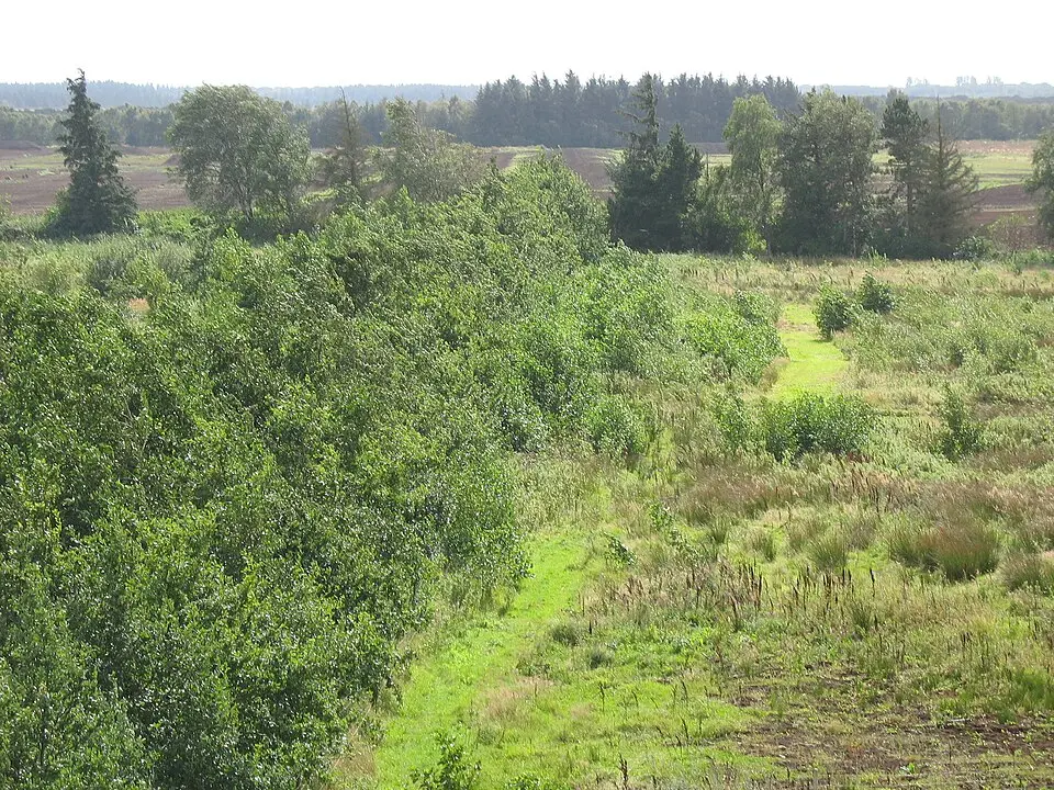 Lille Vildmose