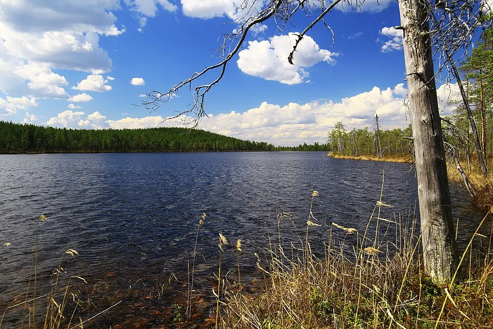 Lillträskberget