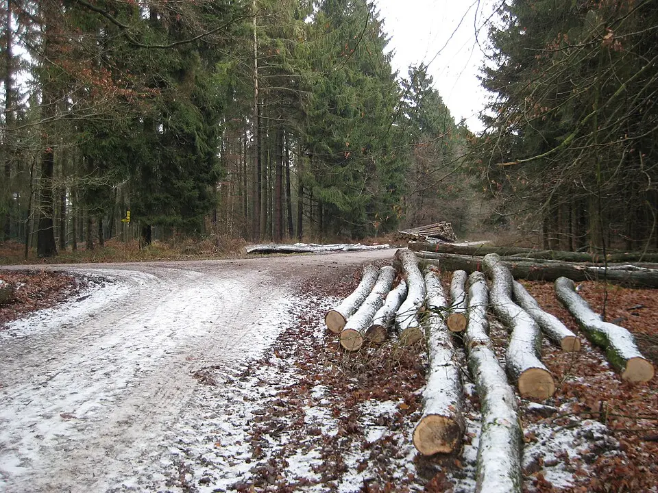Limberg