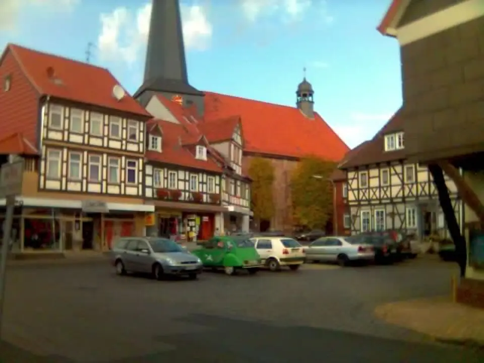 Immagine: Ichneumon · Public domain Katlenburg-Lindau