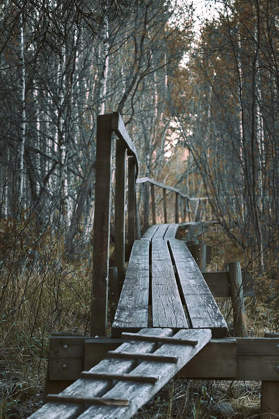 Lindängets naturreservat