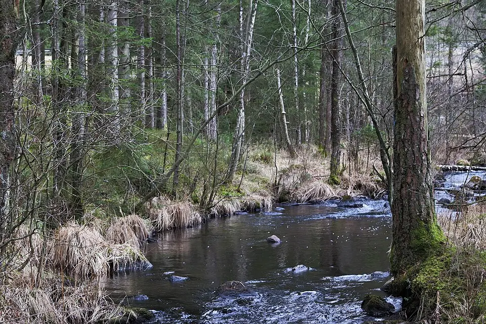 Lindåsabäcken