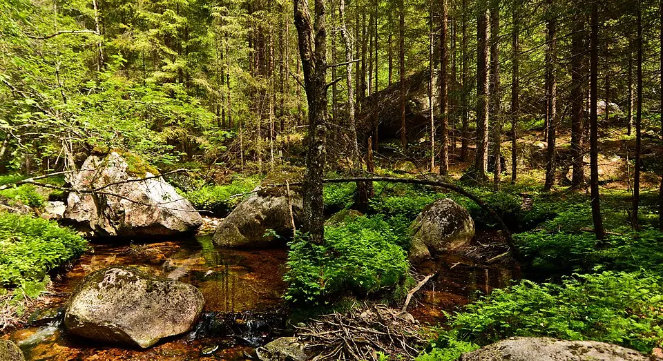 Lindalen naturreservat