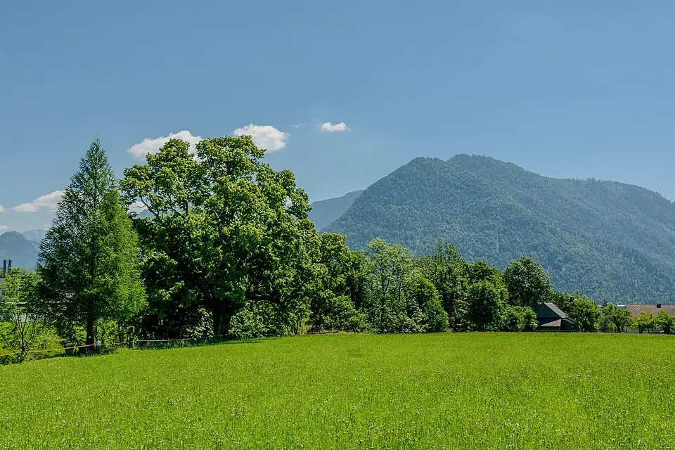 Hohe Radling