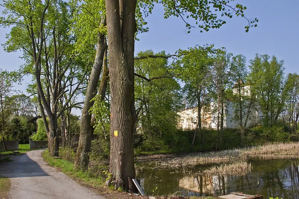 Lindenallee bei Schloss Engelstein