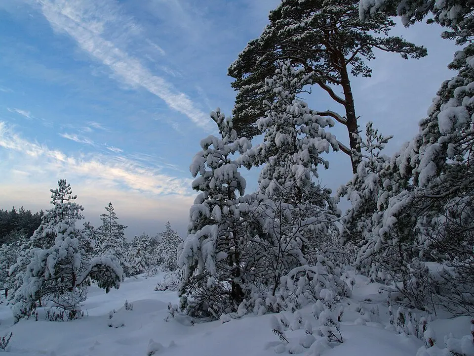 Lindi looduskaitseala