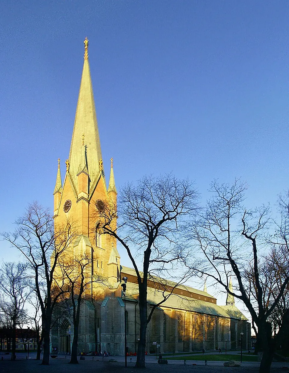 Linköpinská katedrála