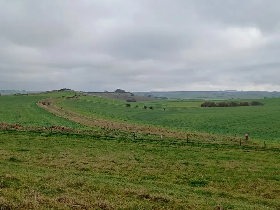 Linear boundary earthwork and associated field system on Cherhill Down