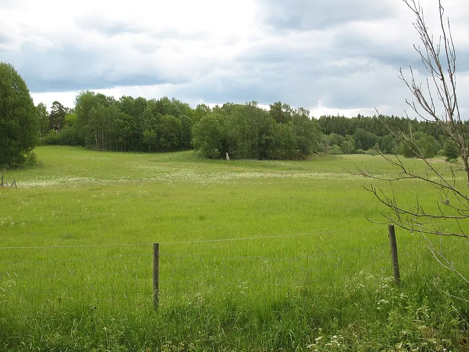 Lingsbergastenarna