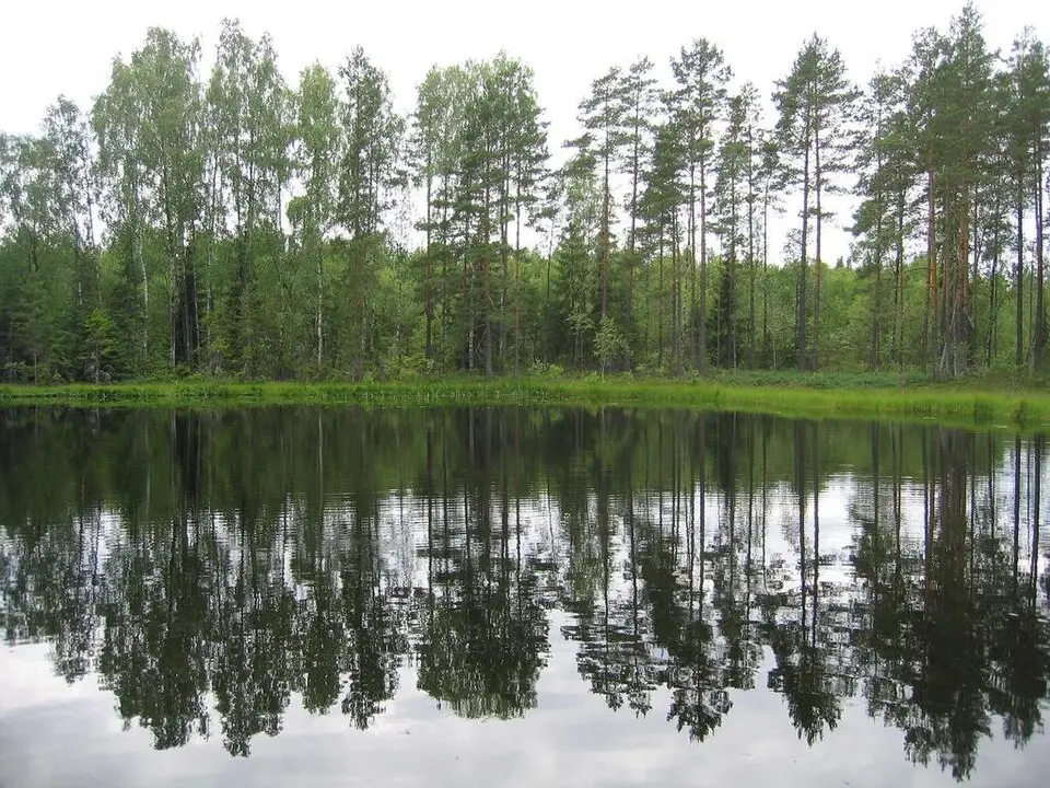 Taheva