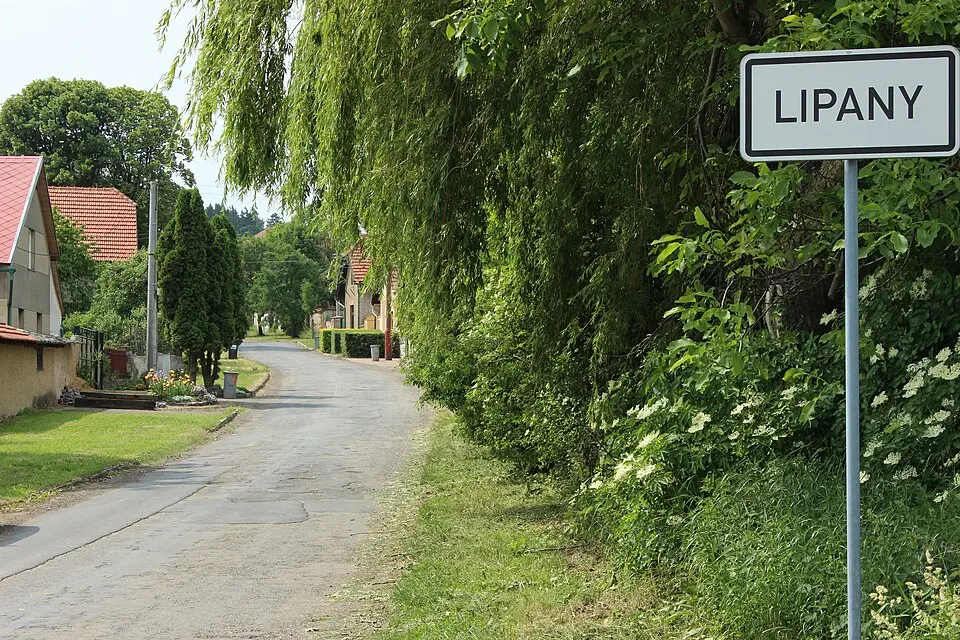 Lipany