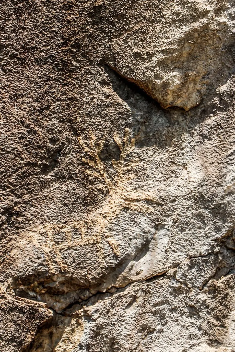 Lipci rock art