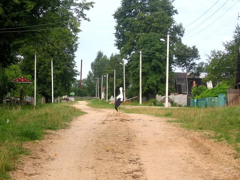 Холы