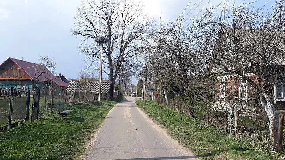 Ліпяні
