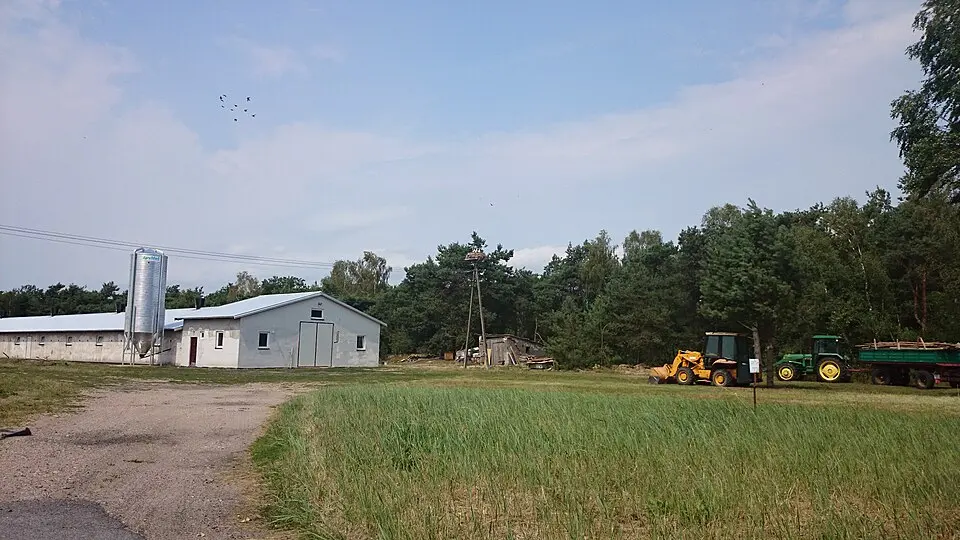 Lipniki