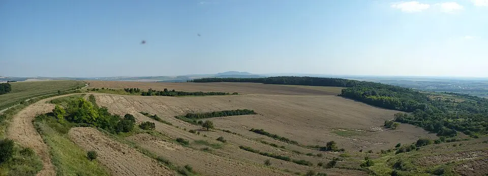 Dyjsko-svratecký úval