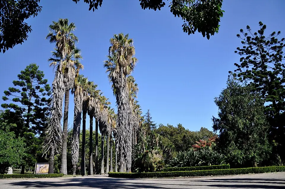 Jardim Botânico Tropical