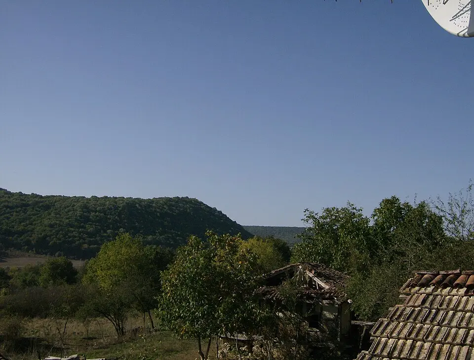 Lisi vrah