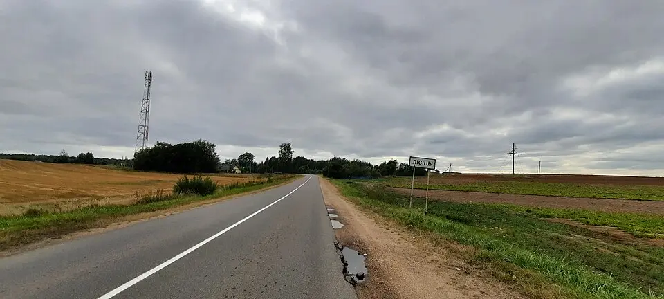 Лісіцы