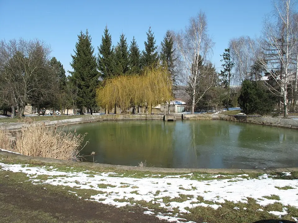Lisovice
