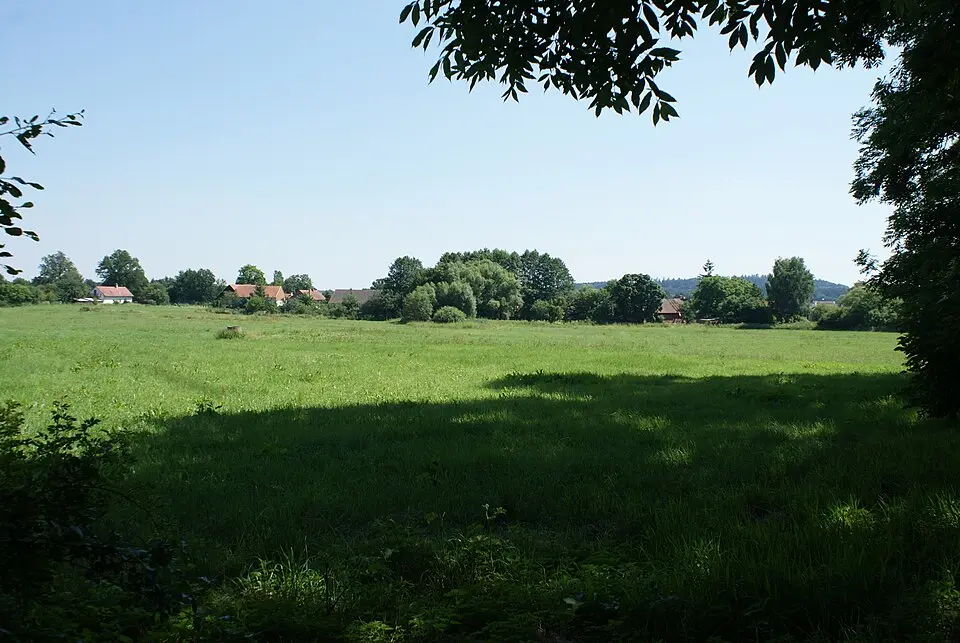 Lisovice