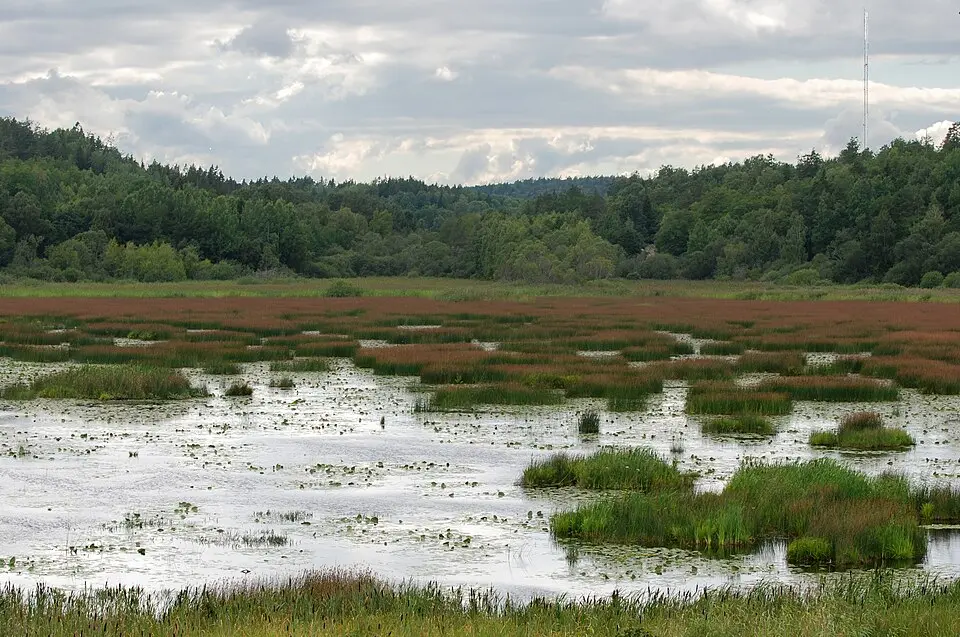 Lissmadalens naturreservat