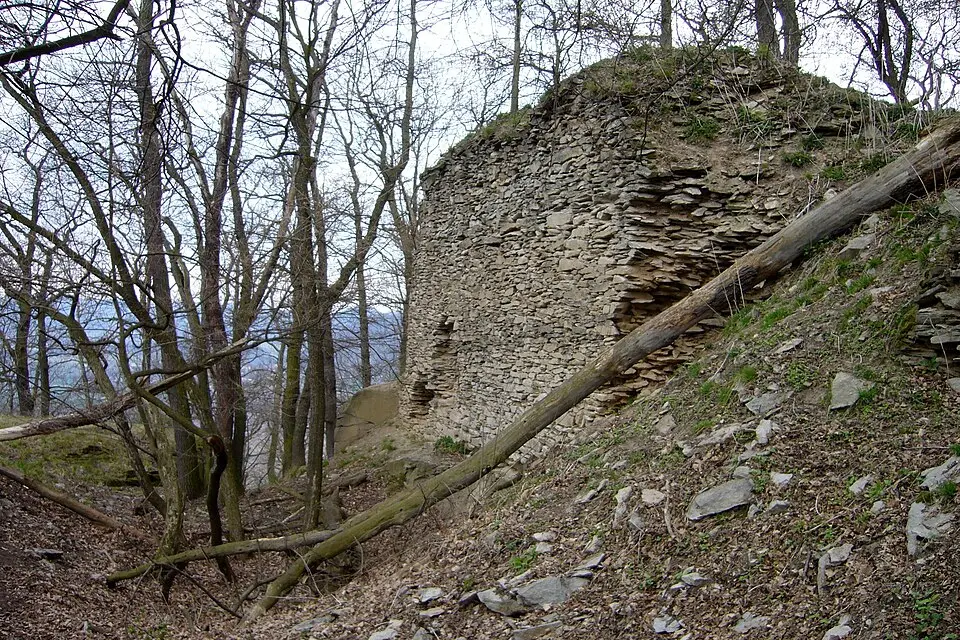 Litýš