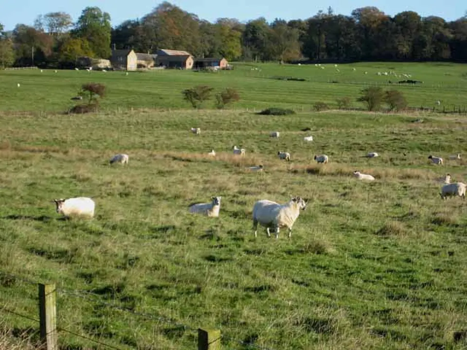 Little Bavington