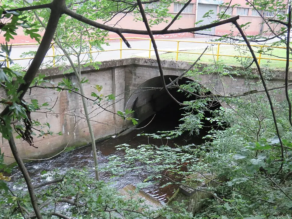 Little Don River