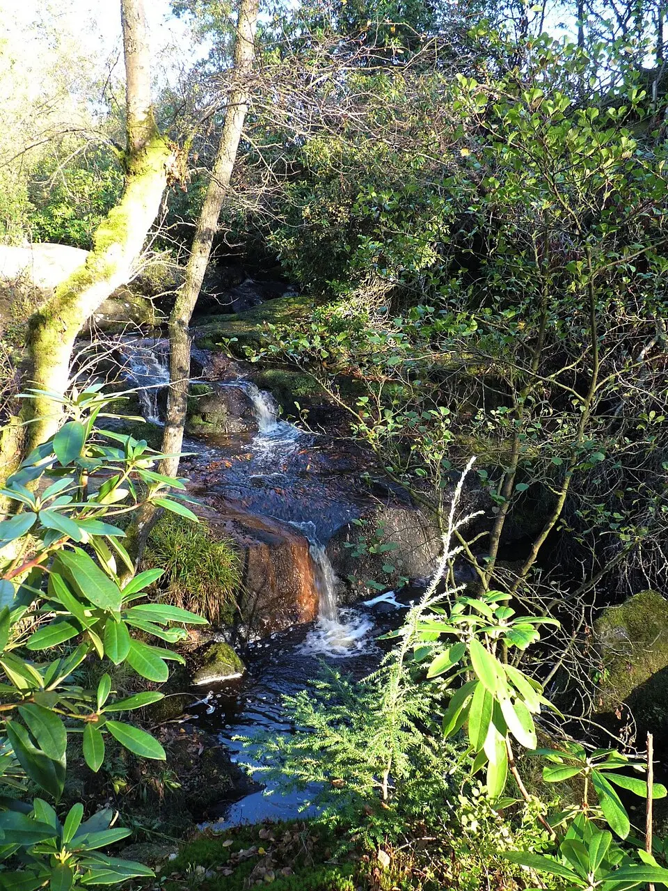 Torrente Valle dei Monegai