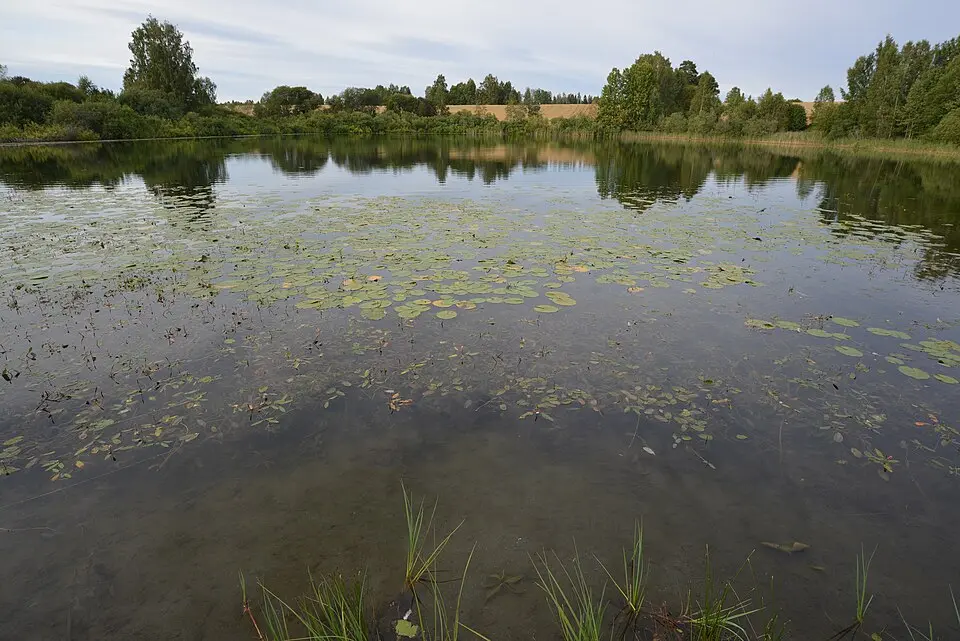 Ljøgodttjern naturreservat
